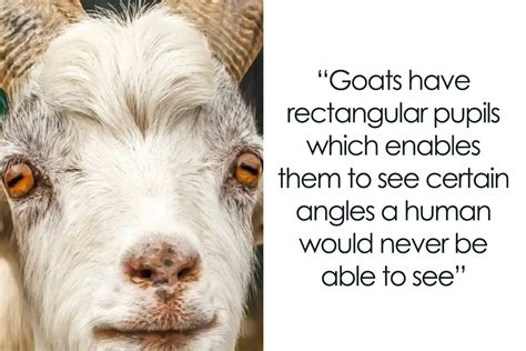 50 Interesting Facts About The World You Probably Didn T Learn At School As Shared By This