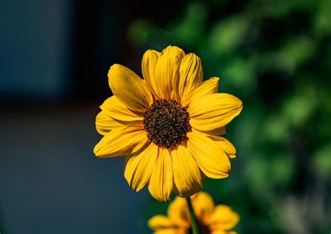 62497B953a45612cd306cf781754c67873d3c4b9 Jpg