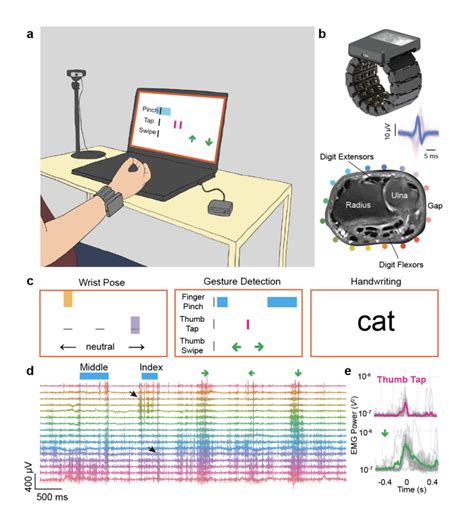 A Generic Non Invasive Neuromotor Interface For Human Computer Interaction Nature