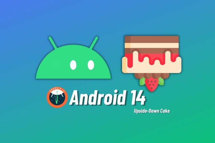 Discover the Android 14 Release Date and What to Expect