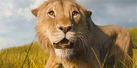Be Prepared For More Lion King Movies After Disney S 2024 Mufasa Prequel Be Prepared For More Lion King Movies After Disney S 2024 Mufasa Prequel