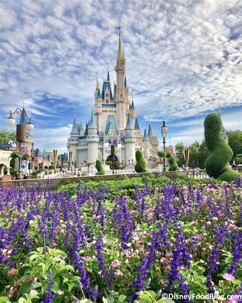 Big Announcement Cinderella Castle In Magic Kingdom Will Be Undergoing A Huge Refurb Soon The Disney Food Blog