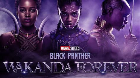 Black Panther Wakanda Forever Cast Release Date And Everything Else We Know Marca
