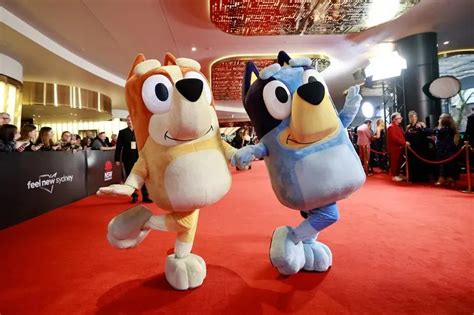 When Is the Bluey Movie Release Date for Beginners?