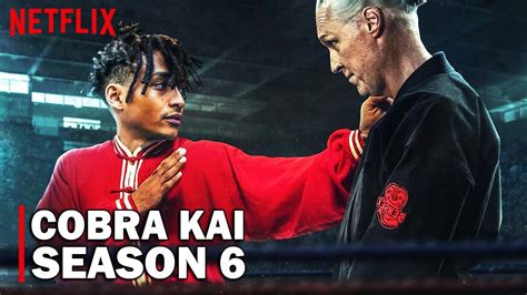 Breaking Cobra Kai Season 6 Announcement The Final Season