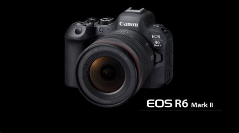 Canon EOS R6 Mark II Release Date: What You Need to Know
