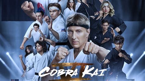 Unmasking the Release: Cobra Kai Part 2 Release Date Revealed