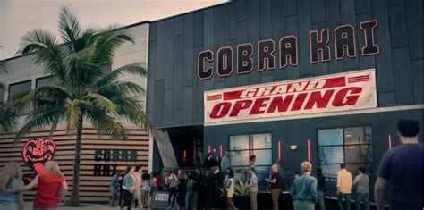 Cobra Kai Season 5 Could Be Action Packed Know All Updates Till Now Entertainment Cobra Kai Season 5 Could Be Action Packed Know All Updates Till Now Entertainment
