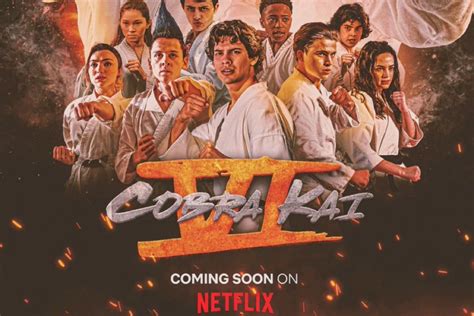 Cobra Kai Season 6 Part 2 Release Date Revealed: What Fans Can Expect