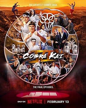 Cobra Kai Season 6 Release Date On Netflix 2025 Deni Ferdinanda