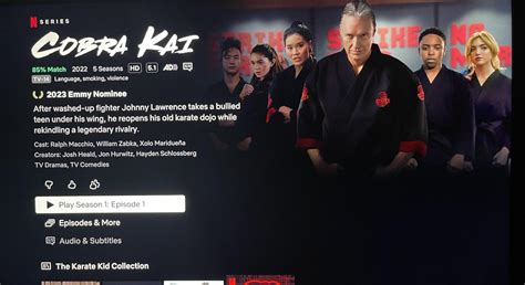 Cobra Kai Uprising In Viewers The Tribe