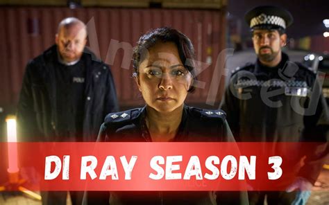 Di Ray Season 3 Confirmed Release Date Did The Show Finally Get Renewed Amazfeed