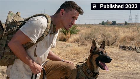 Dog Review Man And Beast Hit The Road The New York Times