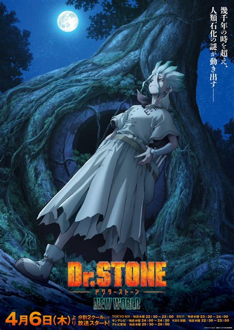 Dr Stone Season 3 Reveals Main Visual Ahead Of April 6 Premiere Anime Corner