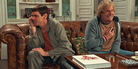 Dumb And Dumber To Teases A Sequel Get The Details Cinemablend