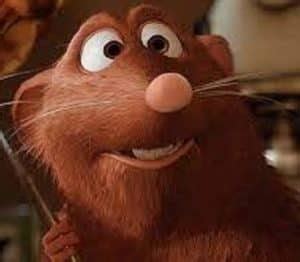 Emile Ratatouille The Ultimate Disney Character Guide