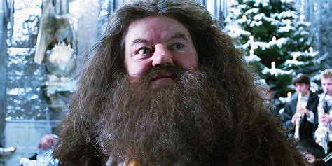 First Look At Harry And Hagrid Sparks Excitement For New Hbo Series