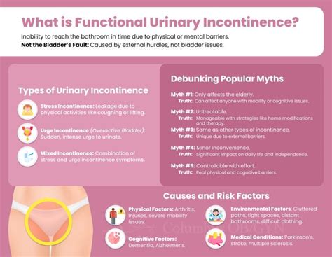 Functional Urinary Incontinence An Overview