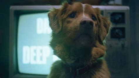 Good Boy Will Be Available On This Streaming Platform First Dexerto