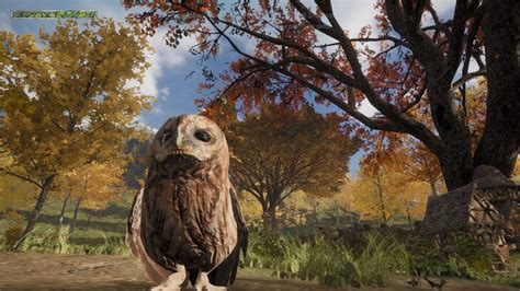 Hawthorn Review Early Concept Demo What An Adorable Mess Game8