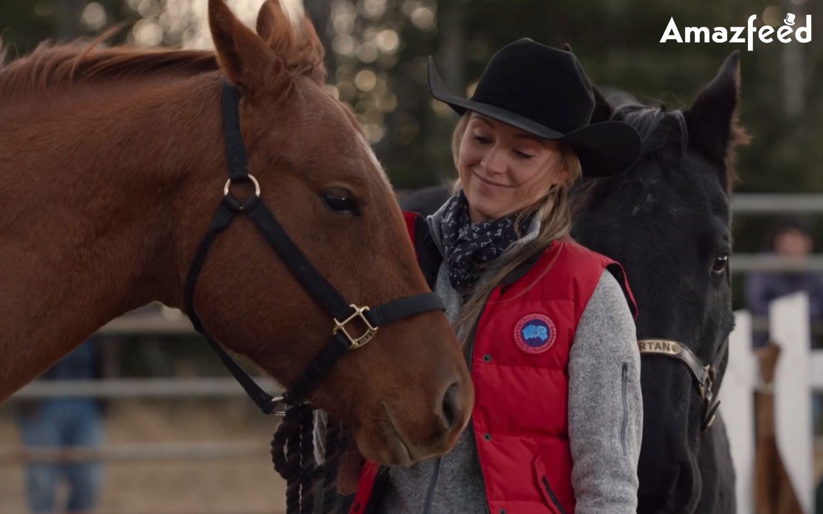 Heartland Season 17 Latest Updates Trailer Release Date