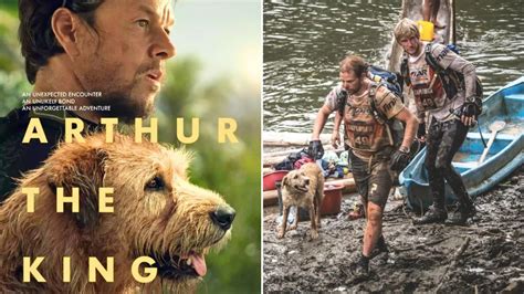 How Accurate Is Arthur The King The True Story Of Arthur The Dog