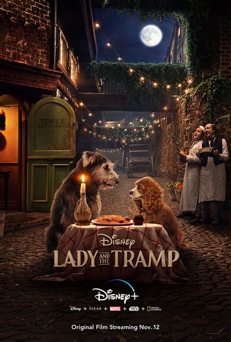 Unraveling the Mystery: Lady and the Tramp Release Date Revealed