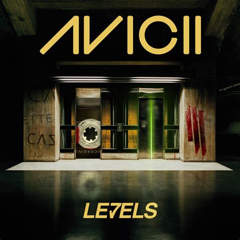 Levels Avicii
