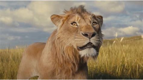 Mufasa The Lion King Day 27 India Box Office Shah Rukh Khan And Mahesh Babu Voiced Movie