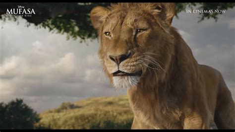 Mufasa The Lion King When In Cinemas We Know The Answer Allbag