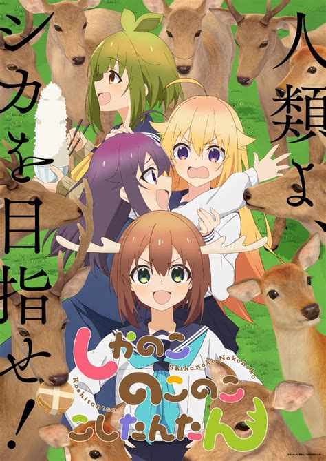 My Deer Friend Nokotan Anime Adaptation By Wit Studio Announced For July 2024 Crunchyroll News