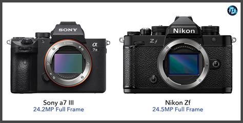 Nikon Zf Vs Sony A7 Ii Comparison Review