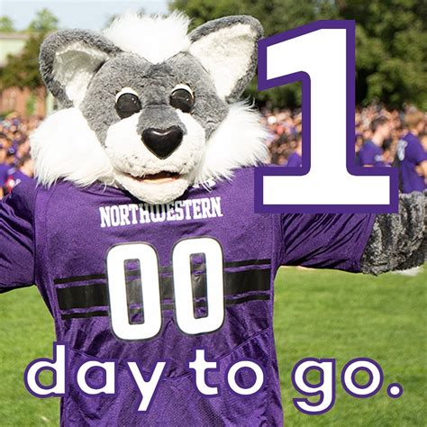 Check Northwestern early decision release date today