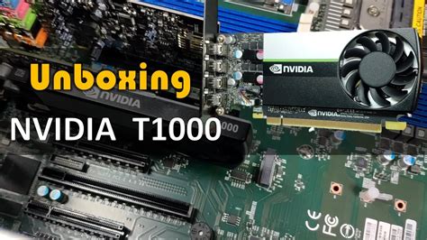 Nvidia T1000 8Gb Gpu Unboxing Youtube