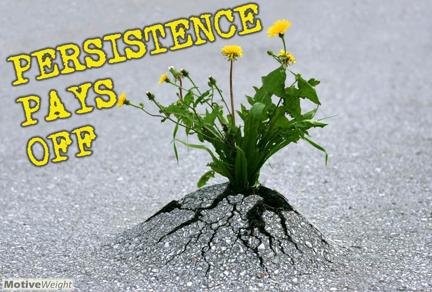 One Year Later Dead Island 2 Proves Persistence Pays Off One Year Later Dead Island 2 Proves Persistence Pays Off