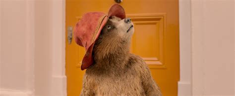 Paddington In Peru Release Date In Uk Cinemas Confirmed Paddington In Peru Release Date In Uk Cinemas Confirmed
