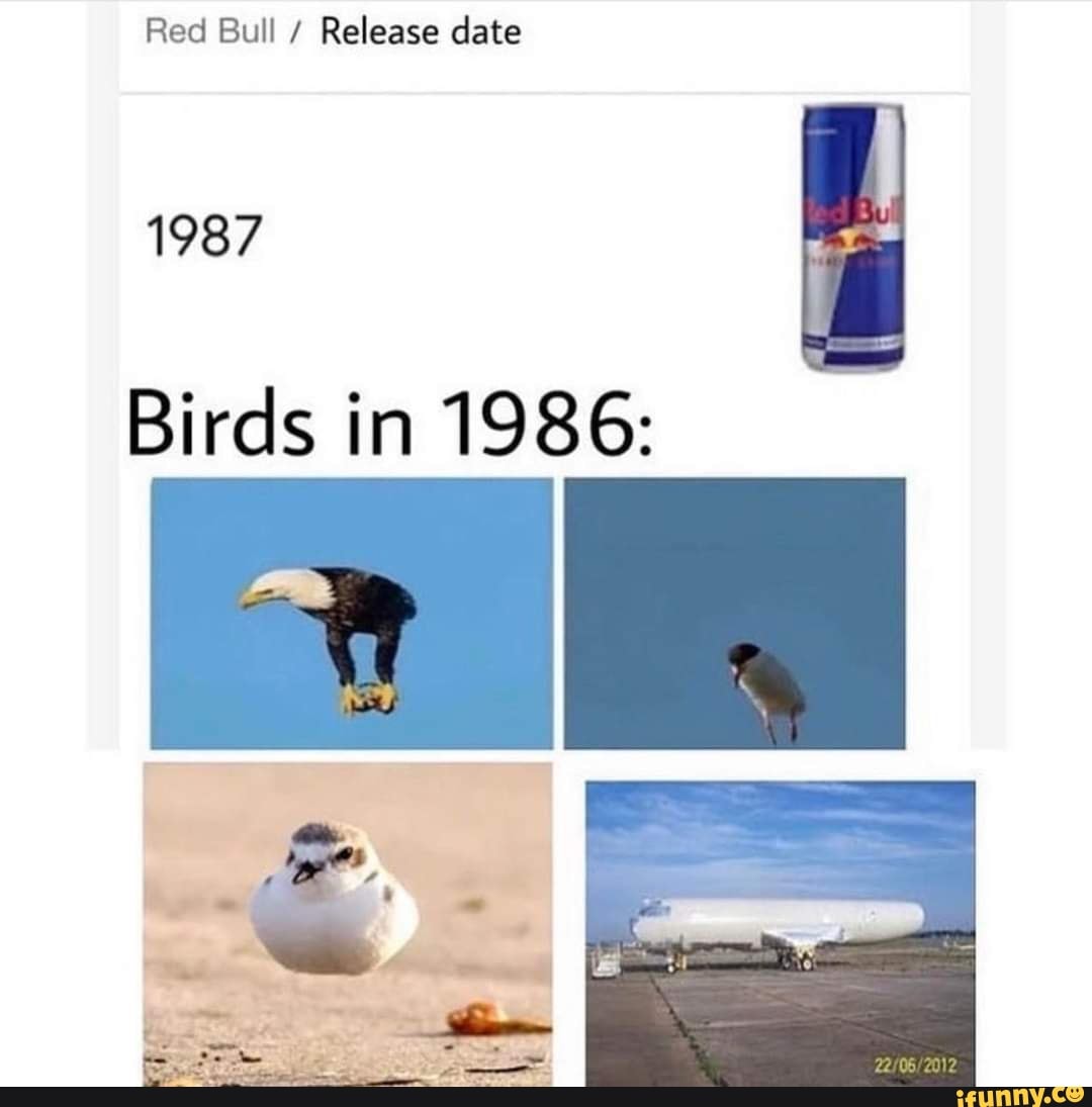 Avoid Common Mistakes When Checking the Pink Red Bull Release Date