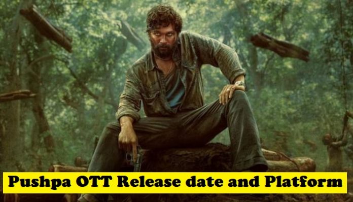 Pushpa OTT Release Date: When to Watch the Blockbuster Film