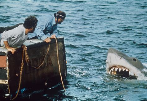 Rival Jaws Documentaries Coming Ahead Of Blockbuster S 50Th Bday
