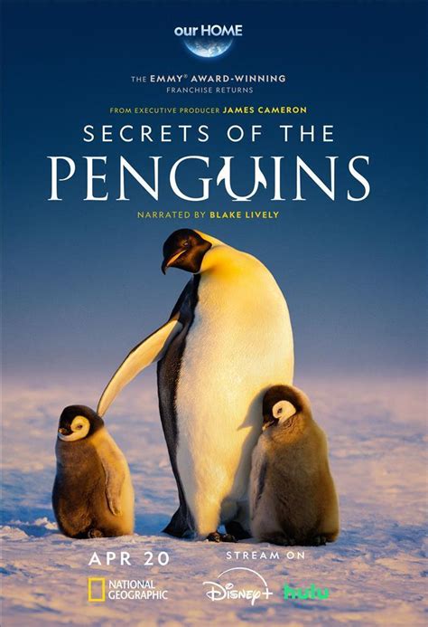 Secrets Of The Penguins Release Dates