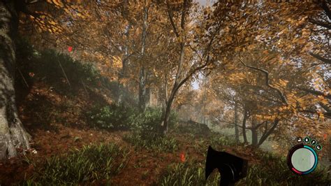 Sons Of The Forest How Do Seasons Work Explained Prima Games