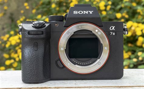 Sony A7 Iii Review