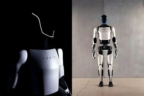 Tesla Humanoid Robot 2025 Ida C Cote