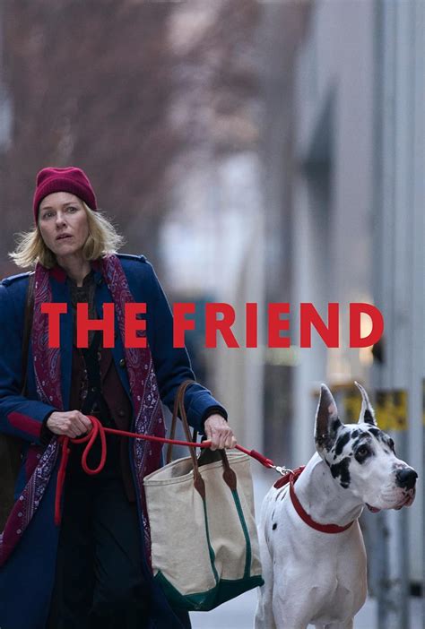The Friend 2024 Release Info Imdb