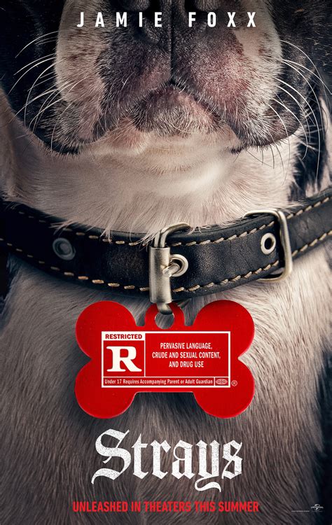 The Friend Dvd Release Date Redbox Netflix Itunes Amazon