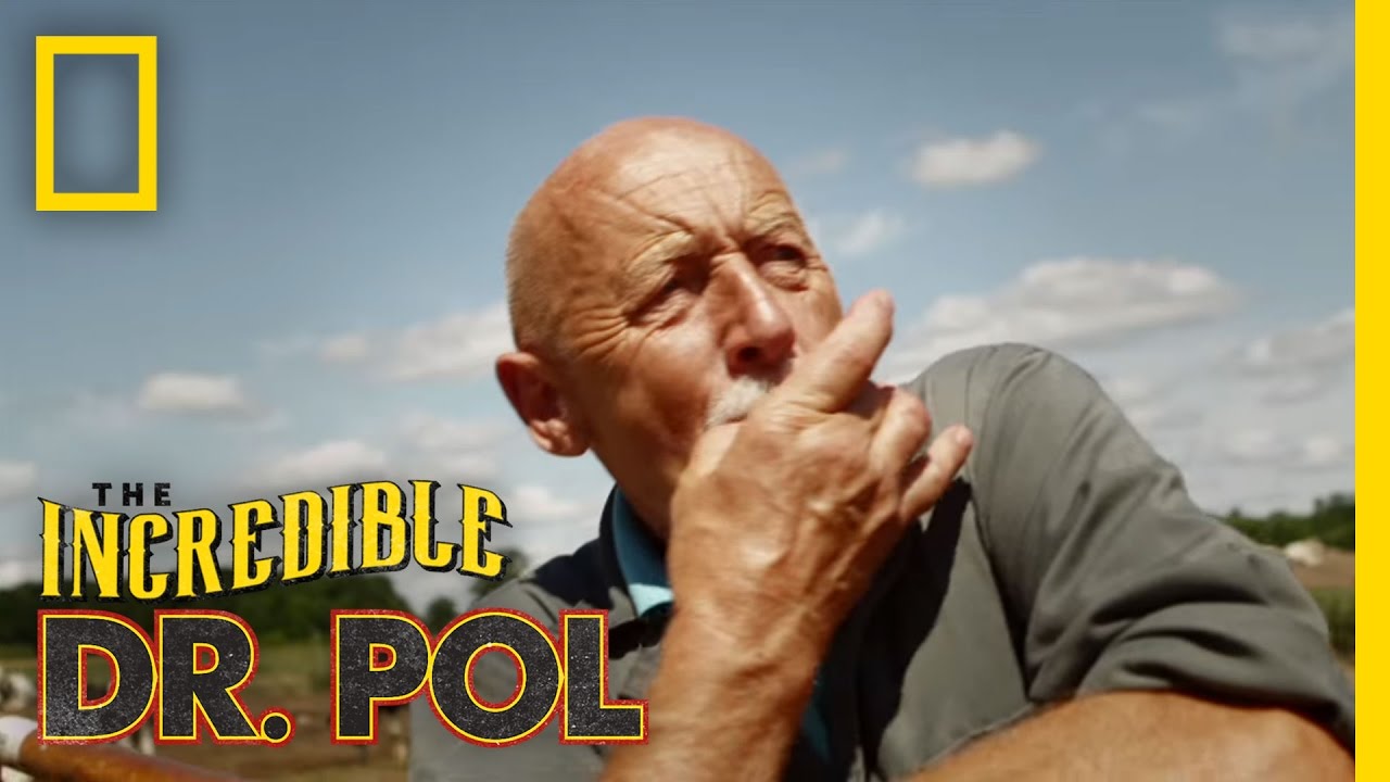 The Incredible Dr Pol Season 25 Will It Happen Youtube The Incredible Dr Pol Season 25 Will It Happen Youtube