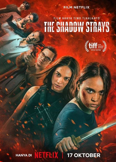 When Will The Shadow Strays Netflix Release Date Be Announced?