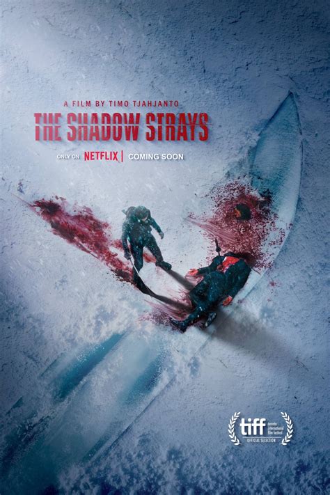 The Shadow Strays Sequel Will Be Titled The Shadow Kills R Kungfucinema