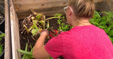 Tips To Keep The Summer Heat From Wreaking Havoc On Your Lawn Cbs Minnesota