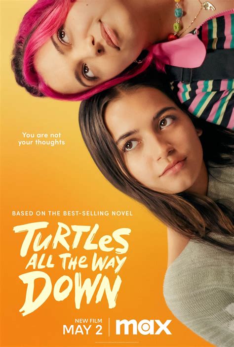 Turtles All The Way Down Posters The Movie Database Tmdb